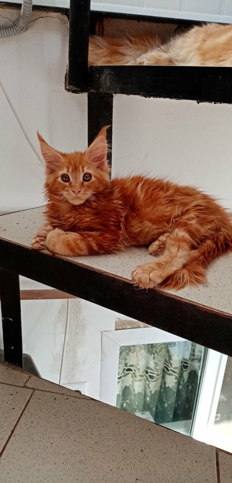 Хозяев нет дома, приходите позже