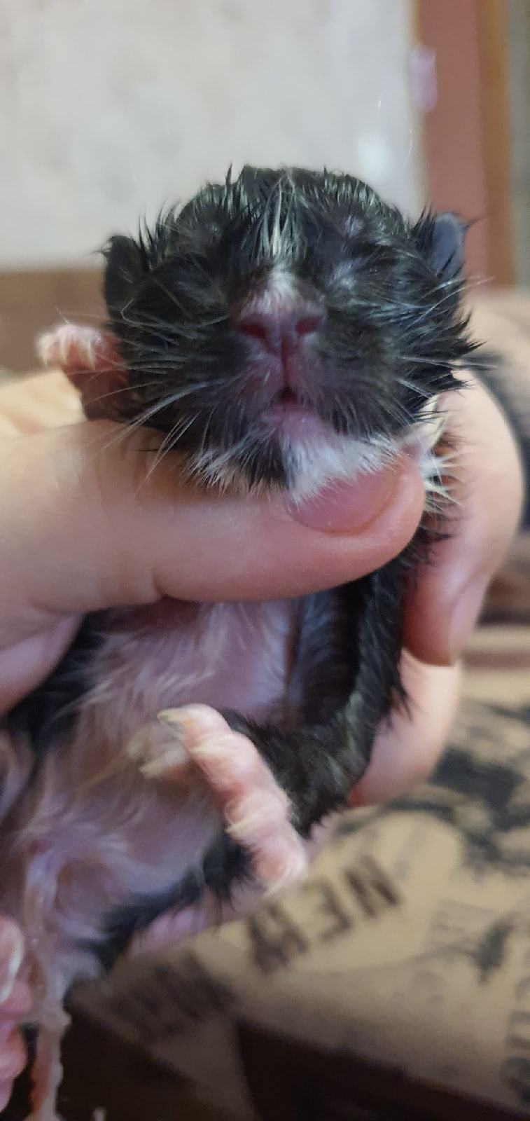 Всем привет, я родился