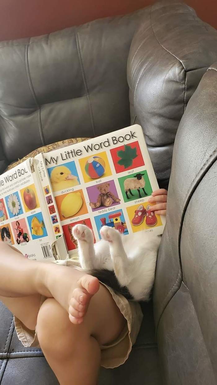 Читать научимся и в школу вместе пойдём