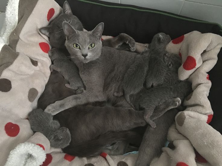 Не мешайте нам, у нас много дел