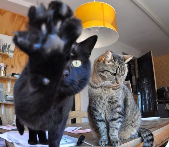 Уберите камеру, мой друг стесняется