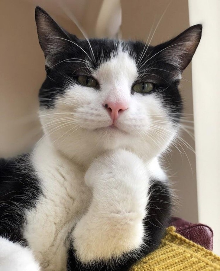 Как прошло свидание, я жду подробностей