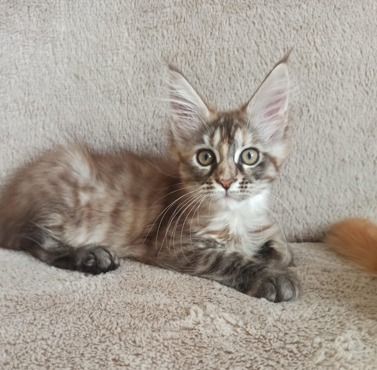 А что я, я лежу, никого не трогаю