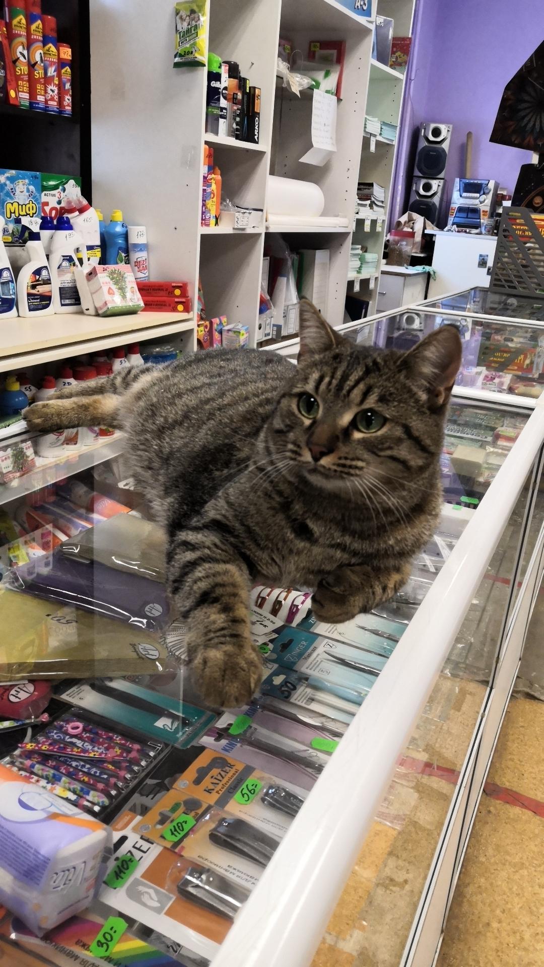 Что желаете, у нас всё есть