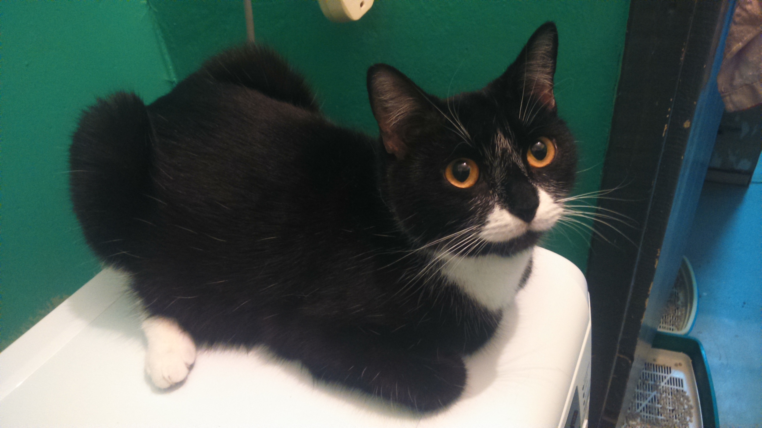 Вы где ходите, машинка уже давно отключилась