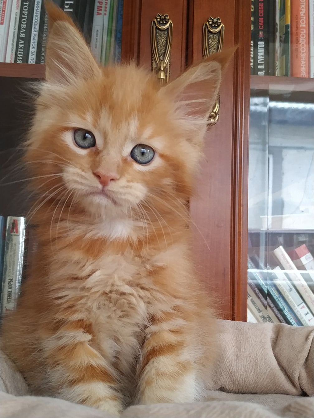 Такая скукота, хоть бы книжку мне почитали