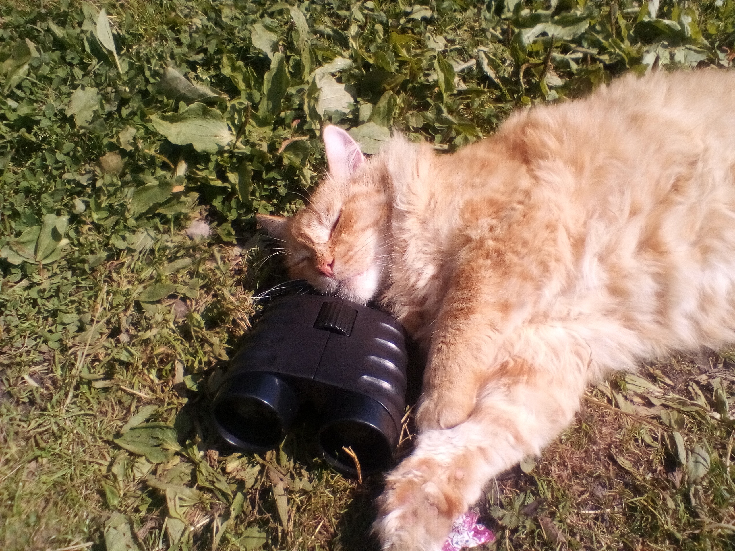 Разведчик на привале