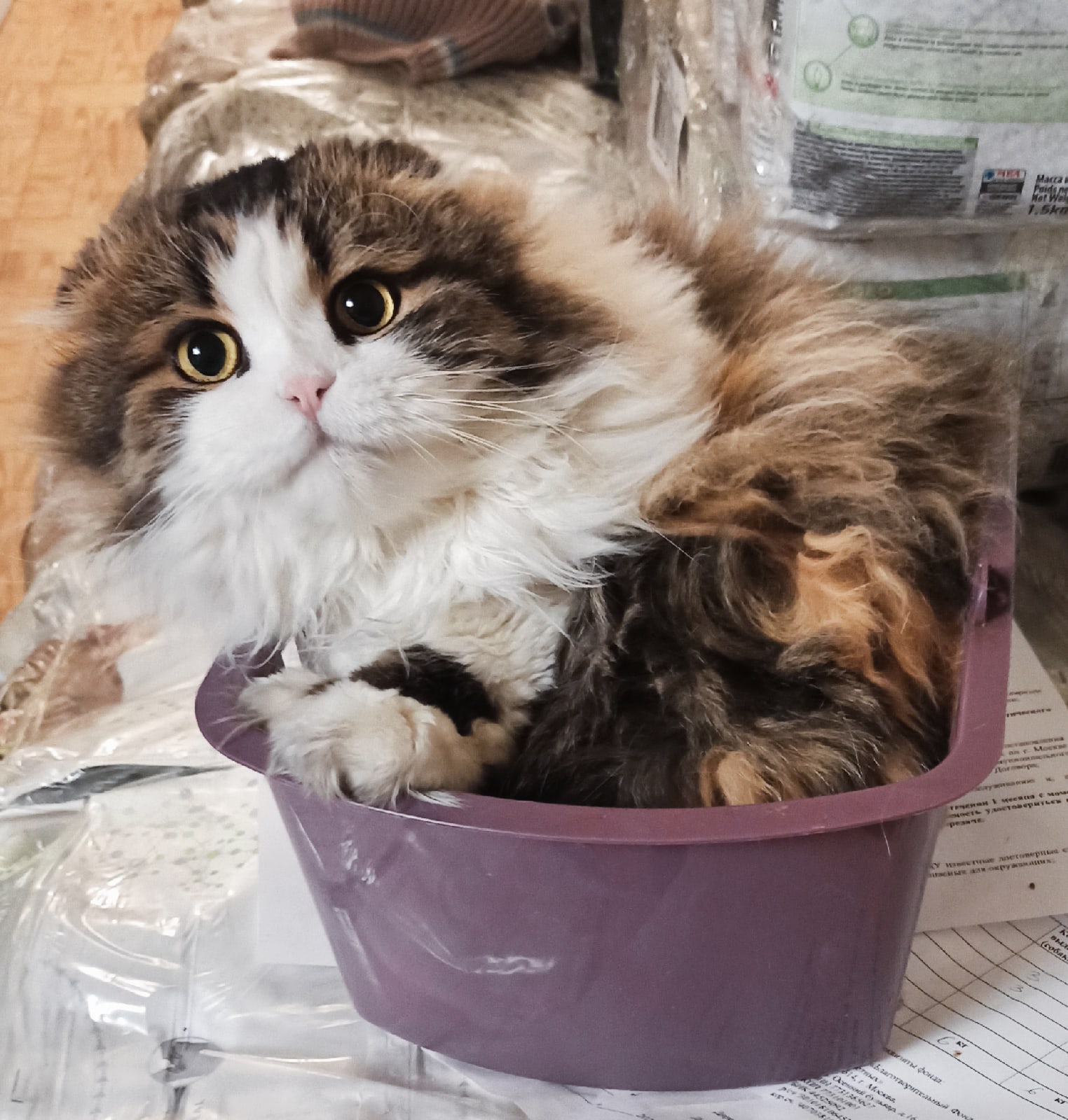 Тут я буду отдыхать, а рассада отменяется