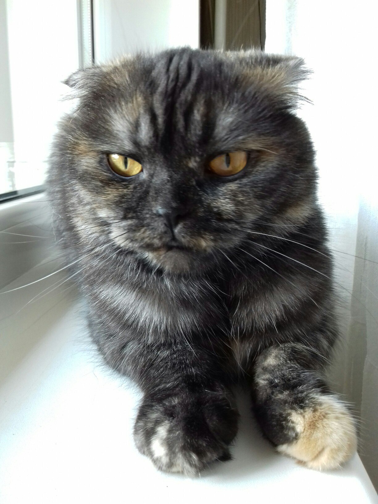 Там, какая то носатая на меня каркнула, идите разберитесь