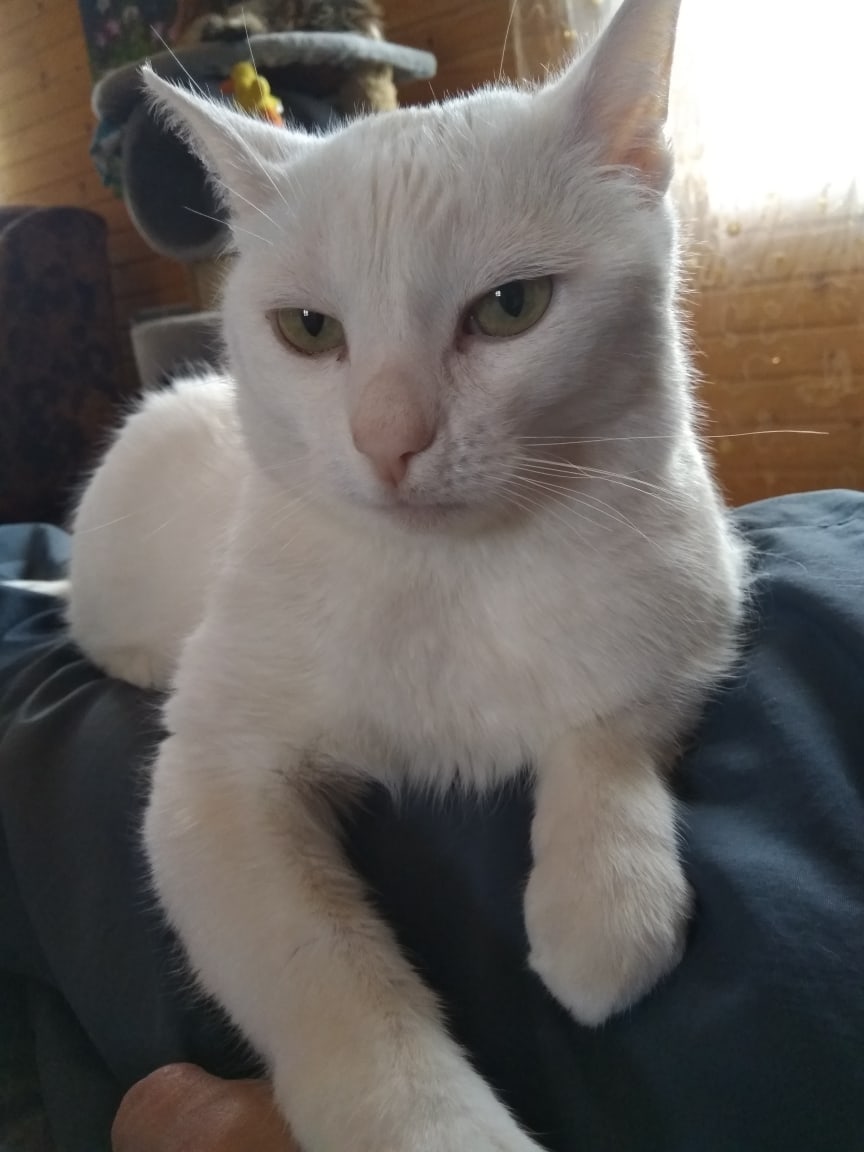 Отстаньте, я в печали