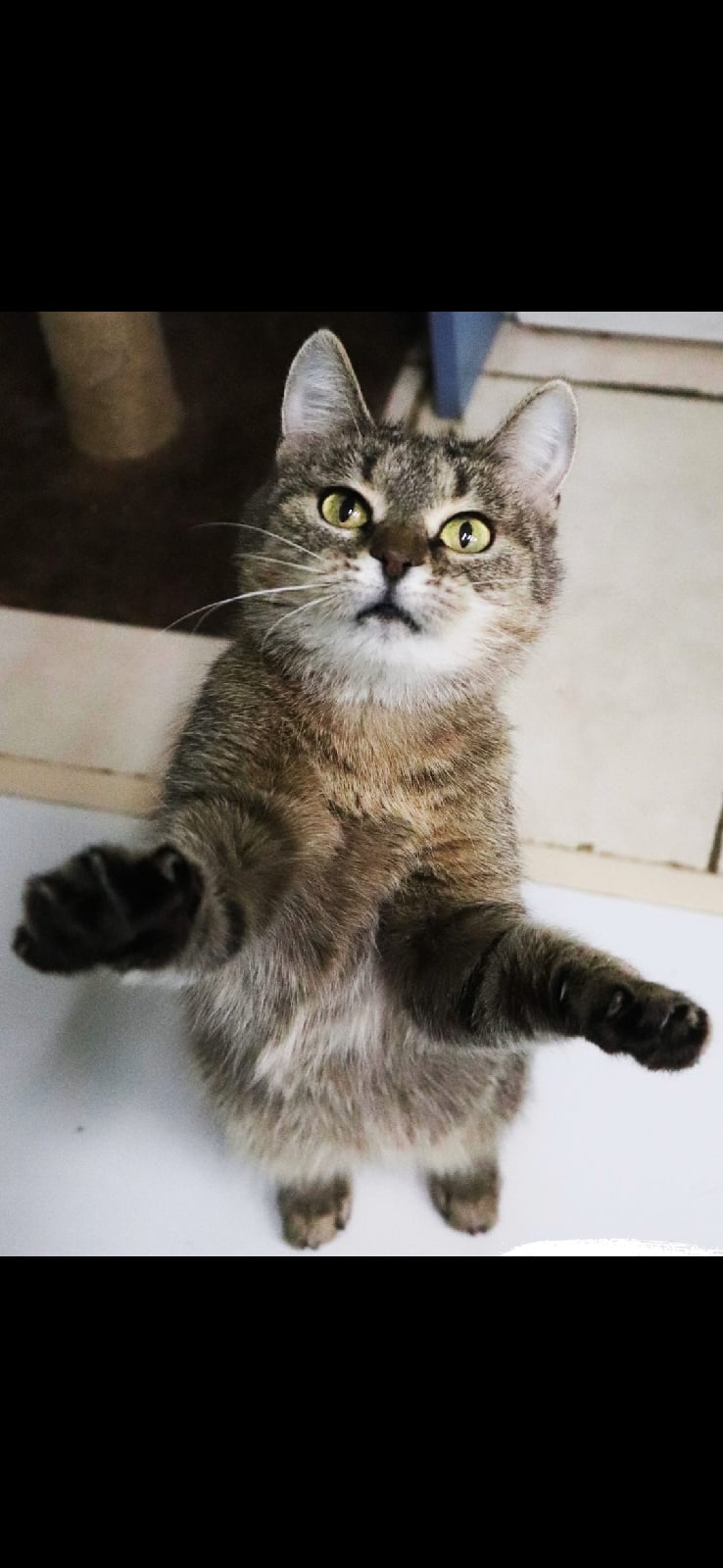 Вот тут мы и живём