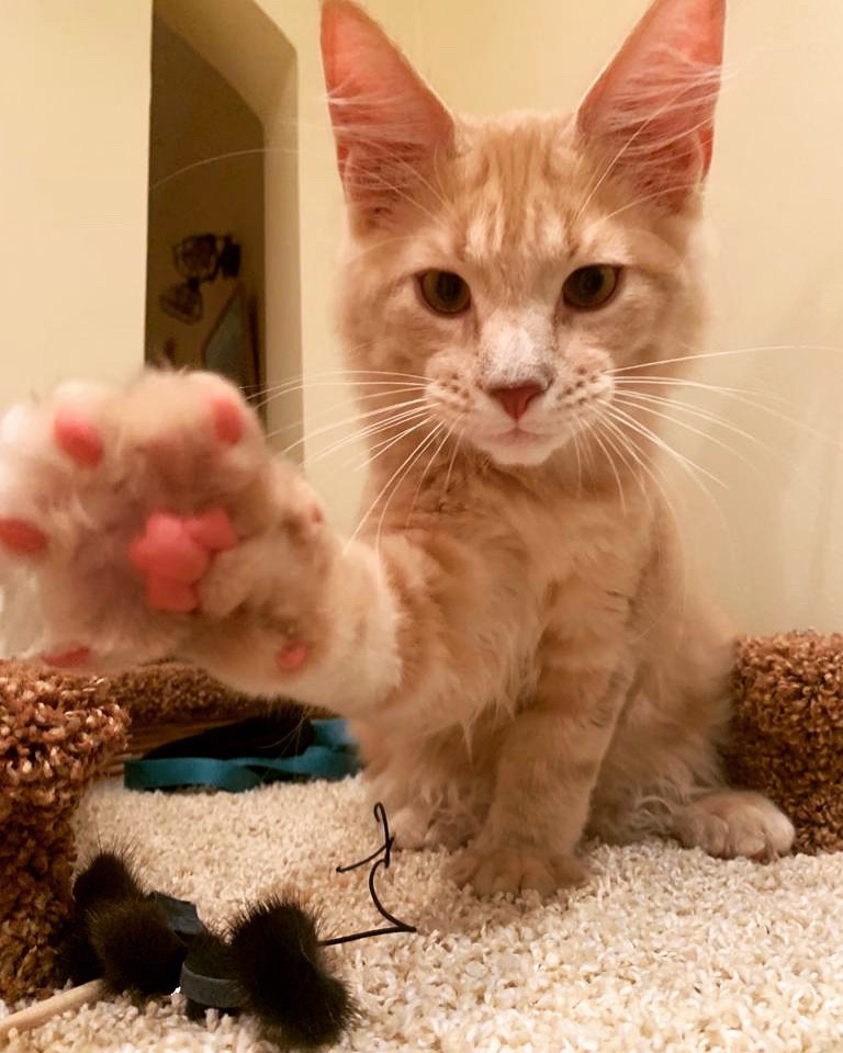 Сейчас, я Вам такой сериал исполню, снимать замучаетесь