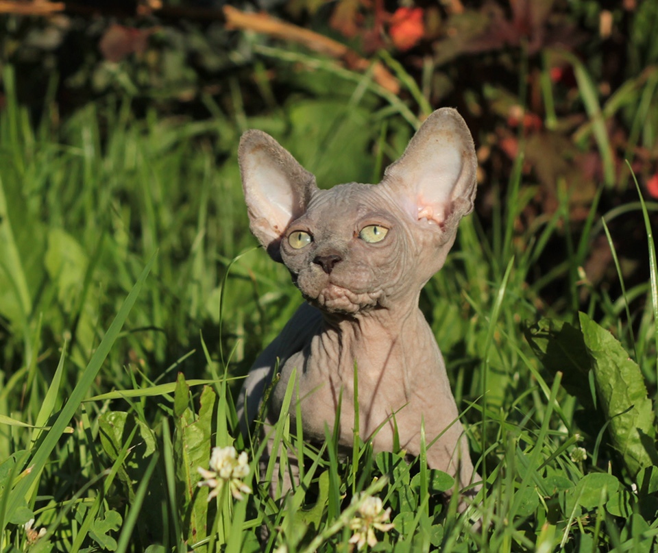 Я балдю от такой красоты