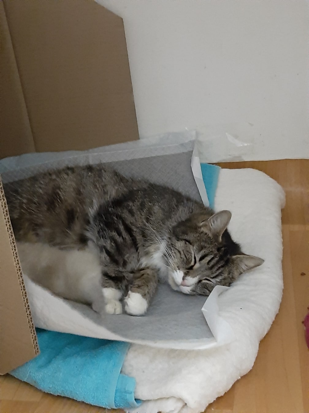 Ну, я уж тут как нибудь