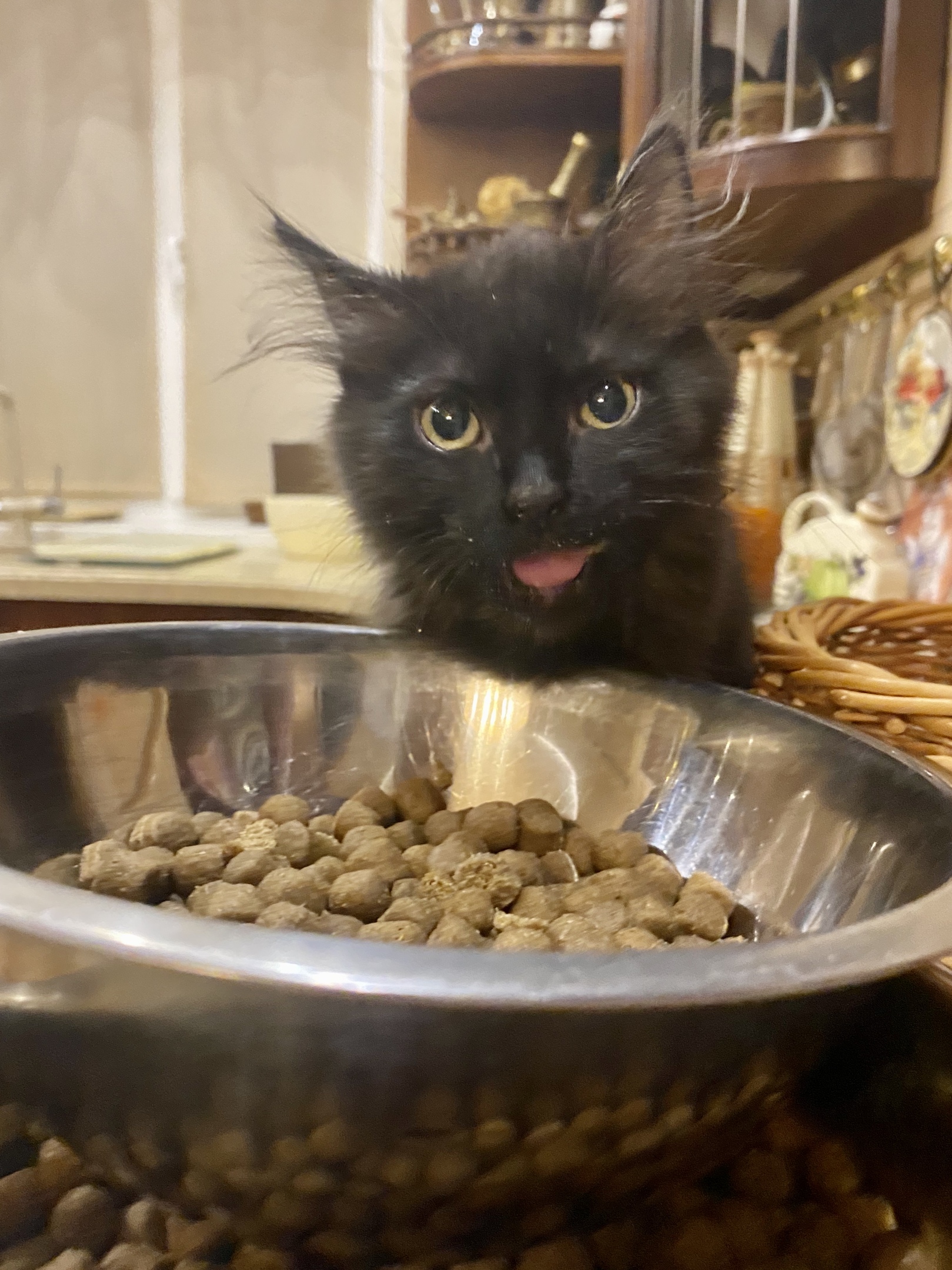 Вы сами пробовали, что купили