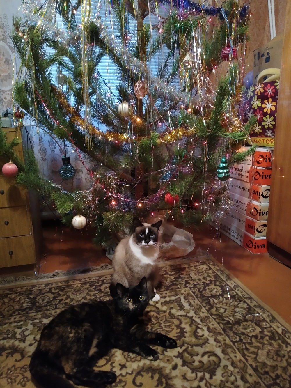 А что, дед Мороз к нам не приходил