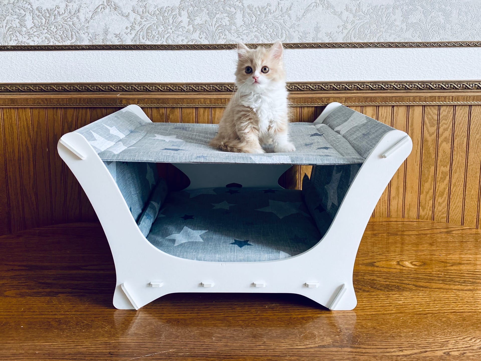 Принцесска на троне