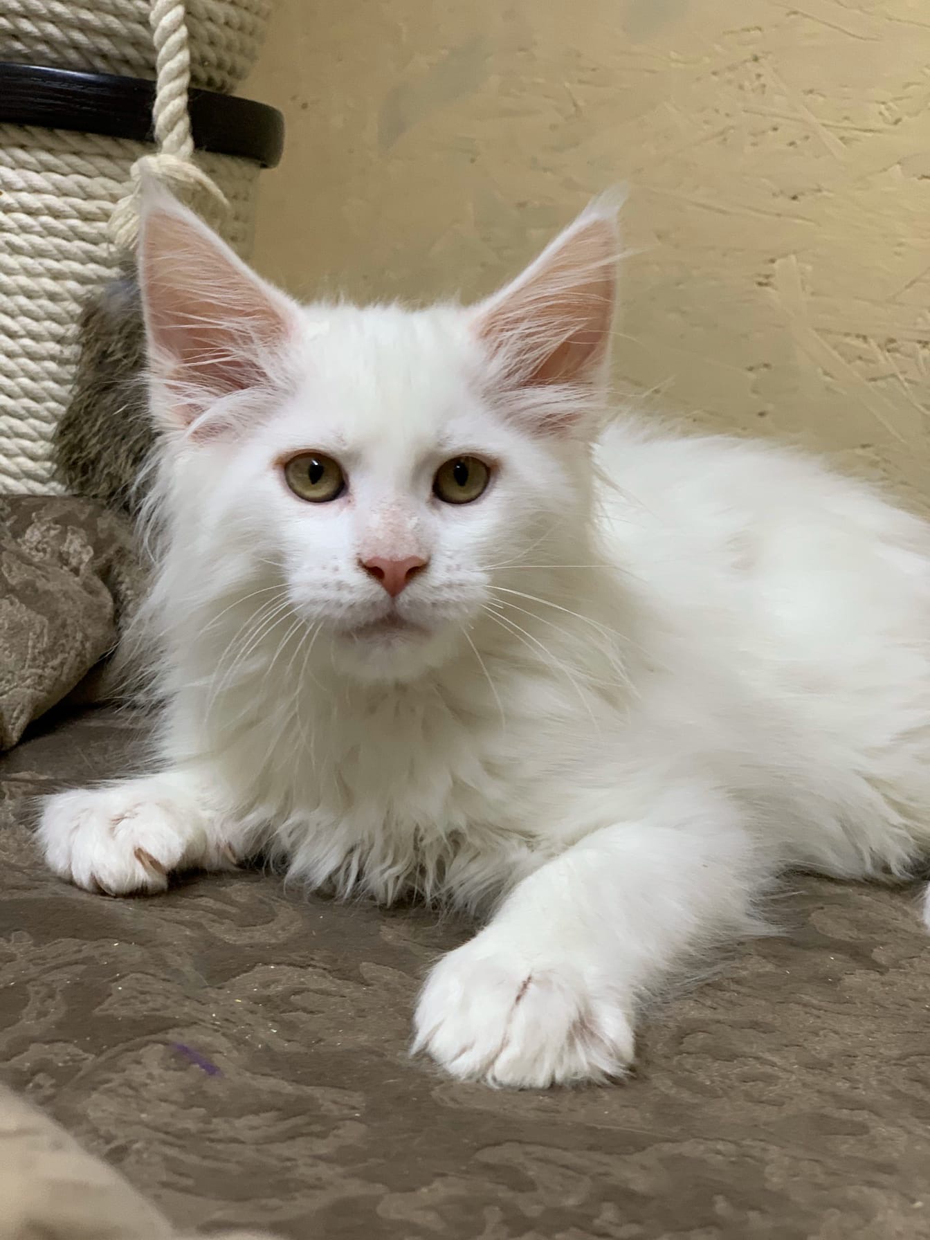 Вы что меня так рано разбудили, я не выспался