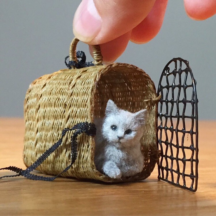 Кошечка в переноске