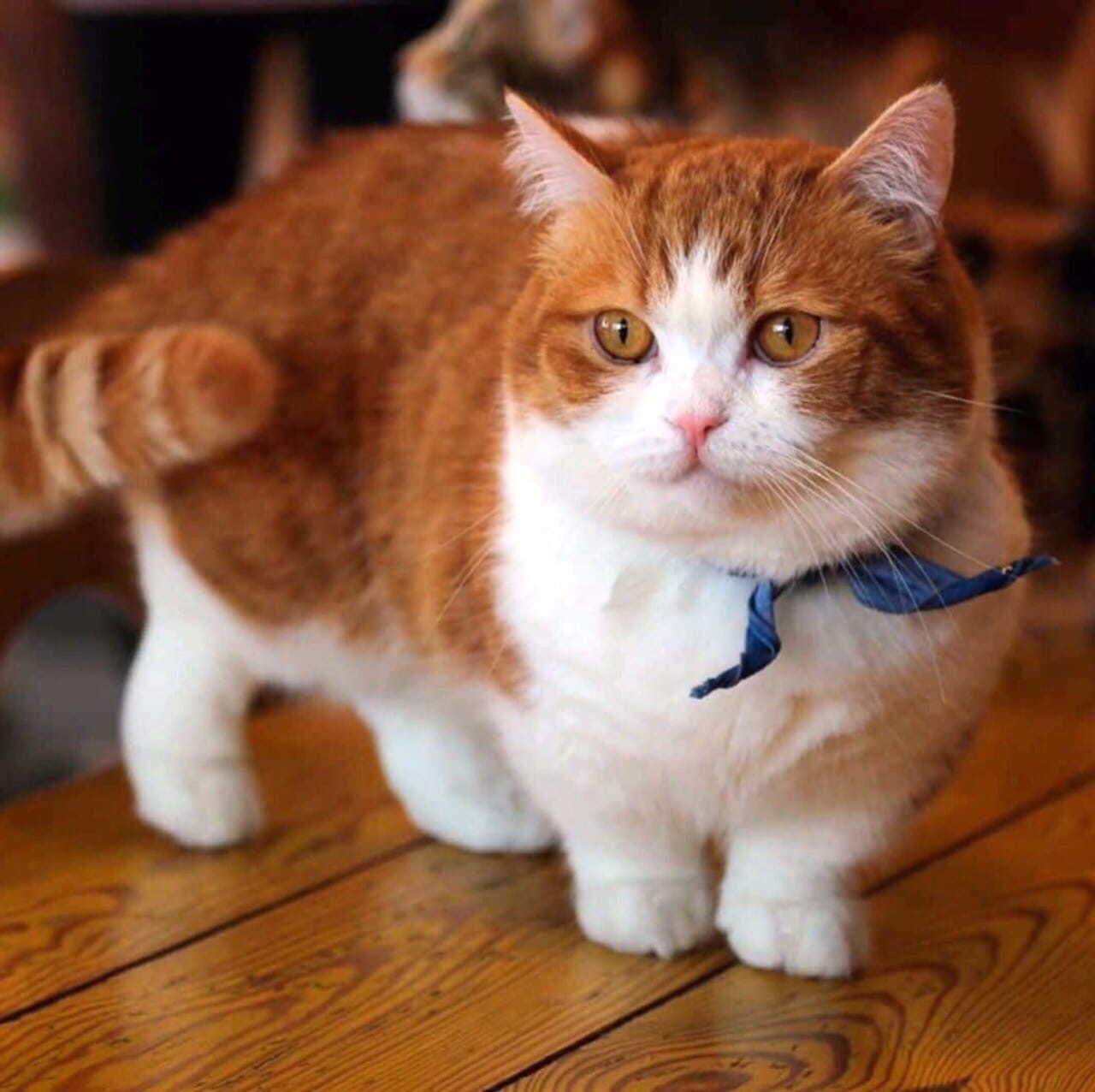 Стильный парень