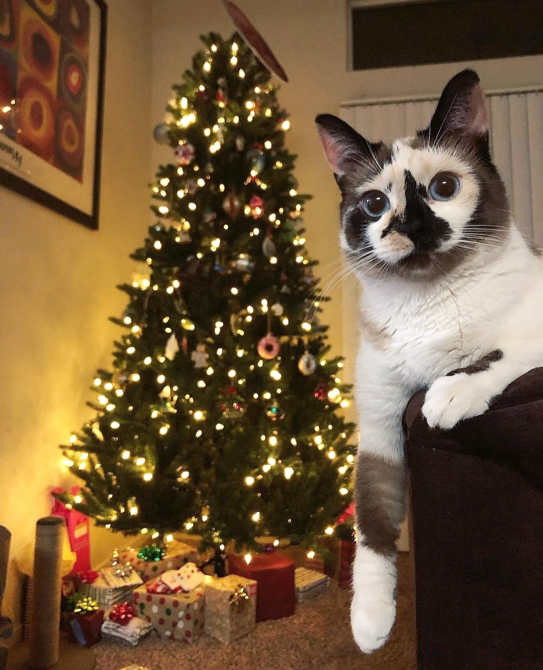 К празднику всё готово, осталось только деда Мороза дождаться