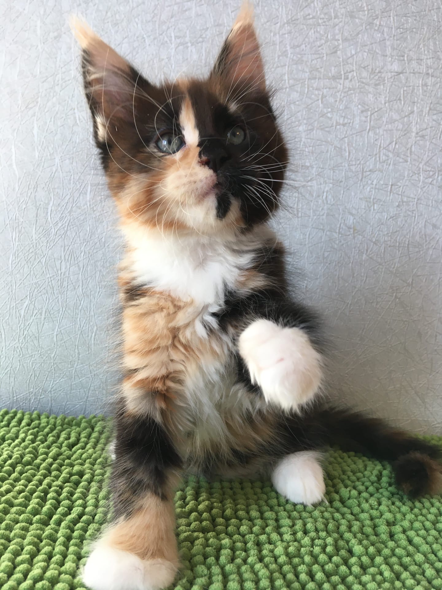 Здравствуйте, приятно познакомиться