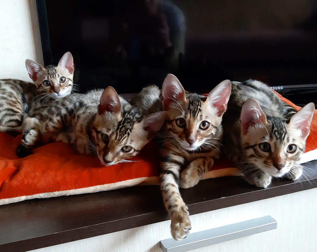 Мы уже отдохнули, можно нам побегать