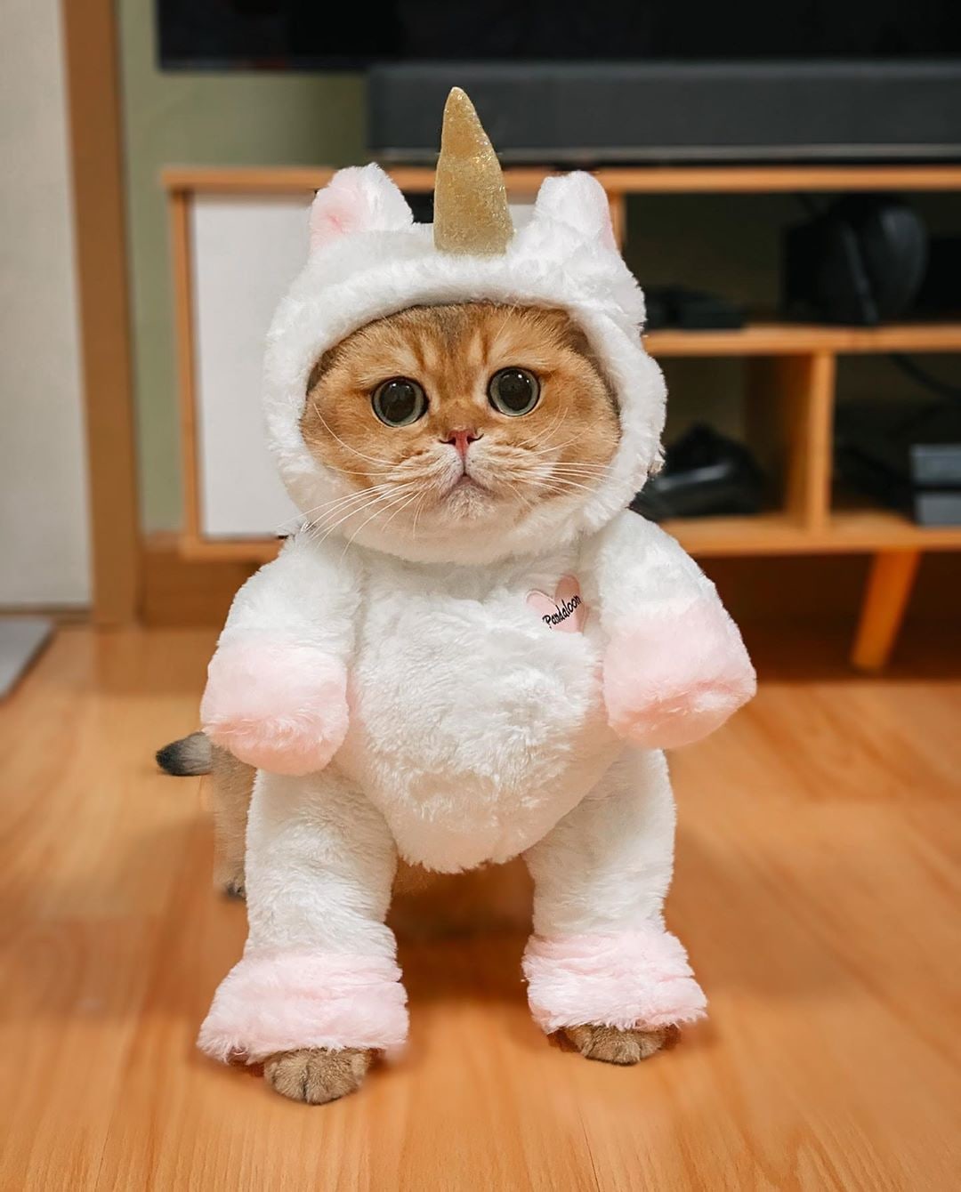 Я в костюмчике, а Вы почему нет