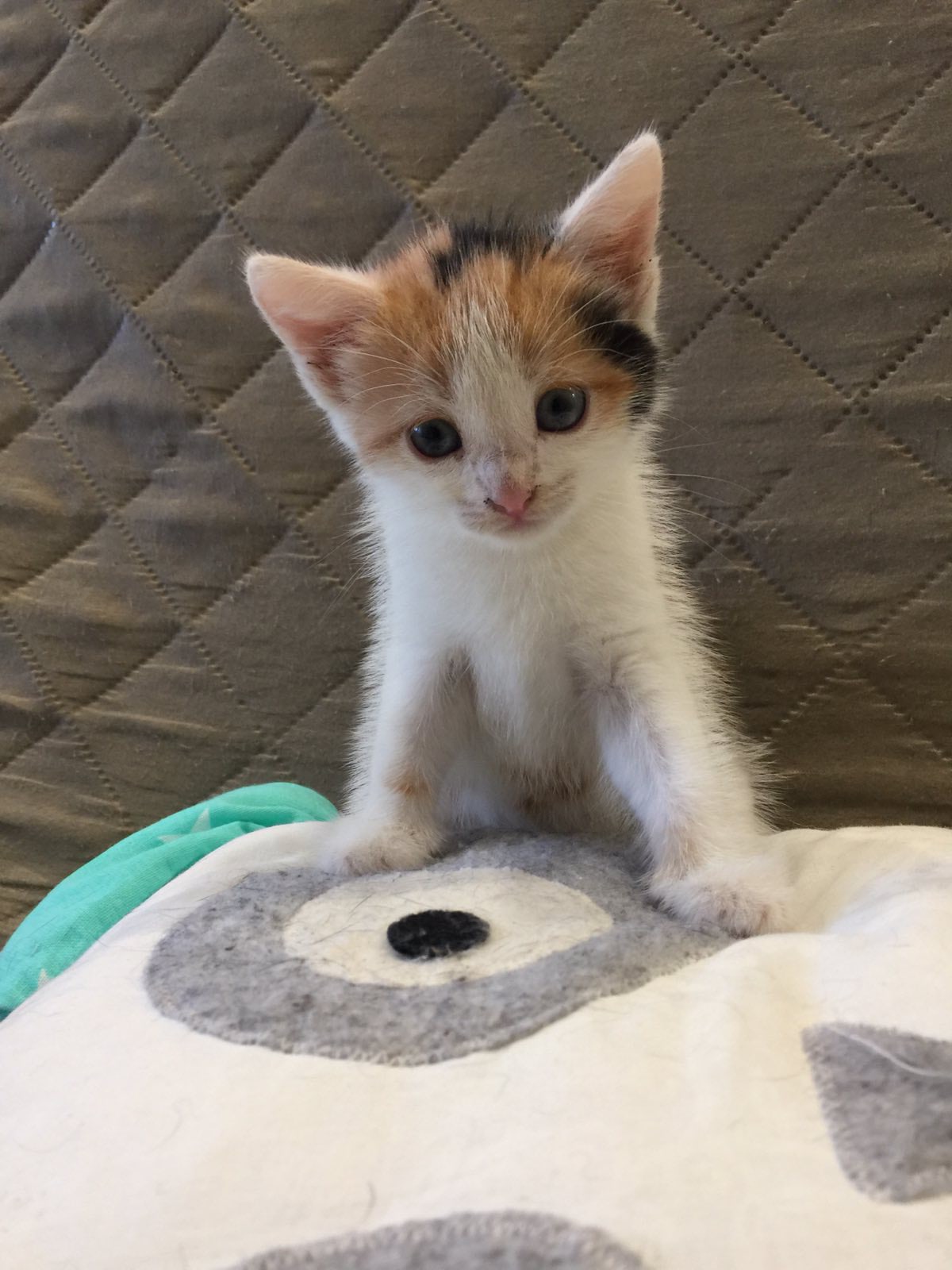 Зря убирались, сейчас я Вам наведу порядок по - своему