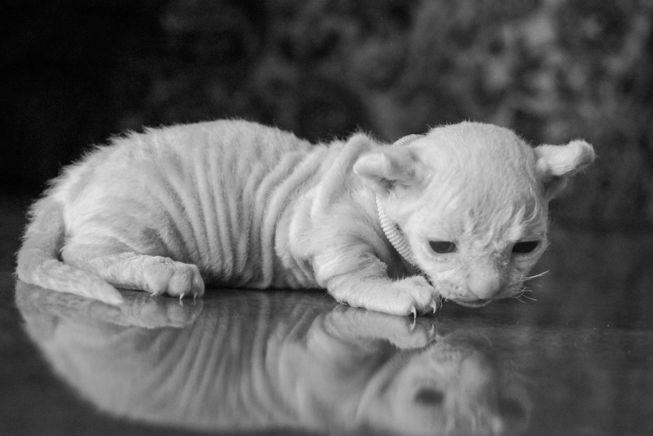 Вы издеваетесь, я по этой склизи буду ползти вечность