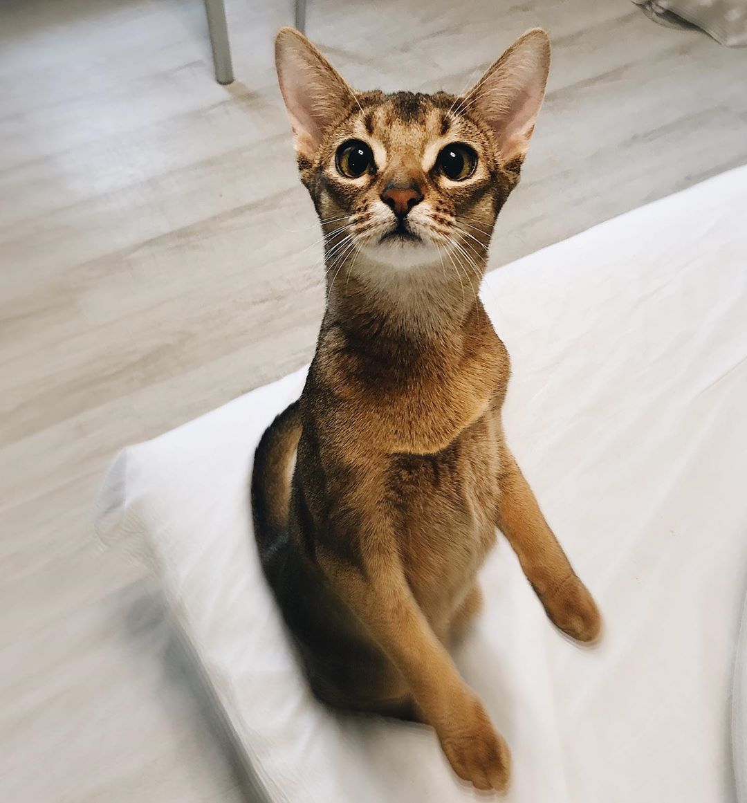 Так вот как они узнают, что я натворил