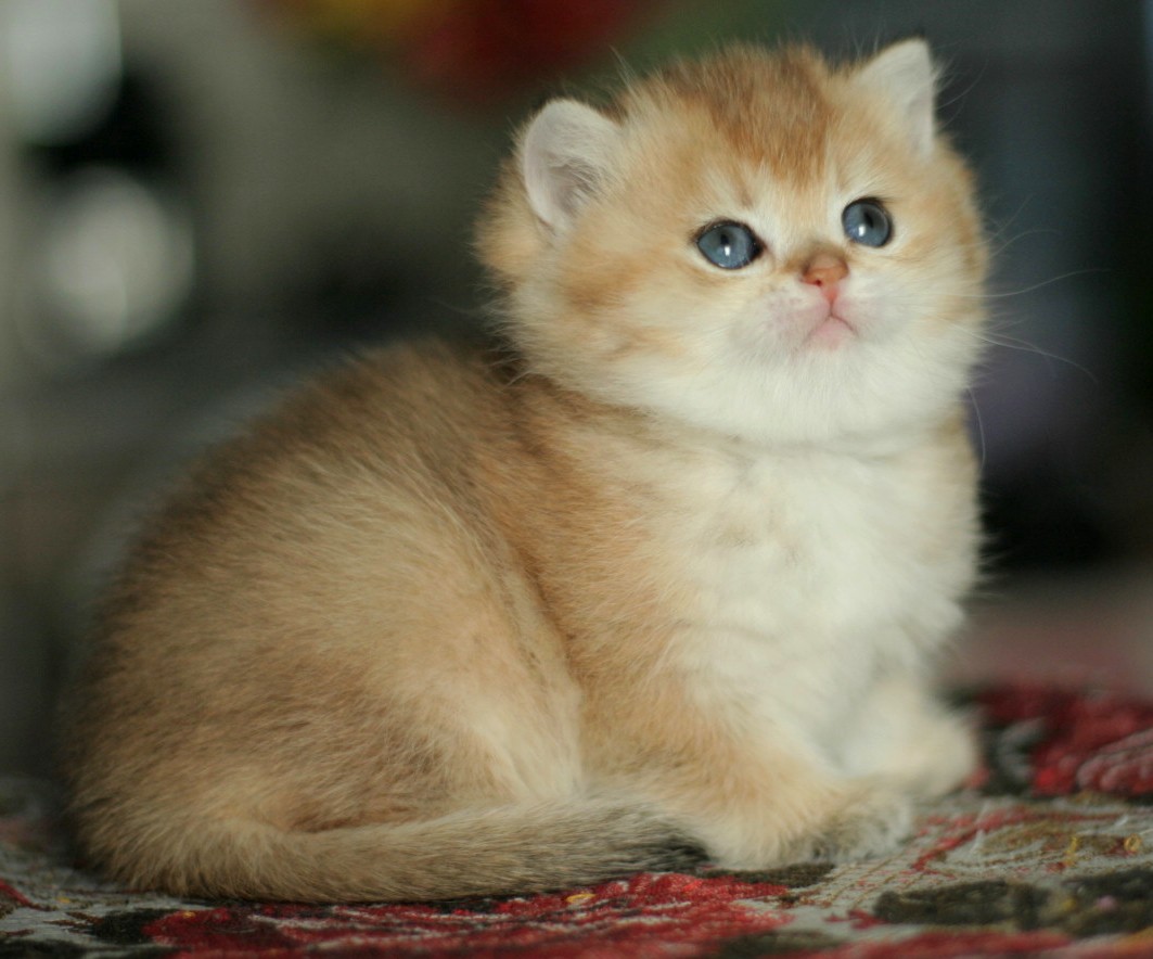 А давайте посидим, поболтаем