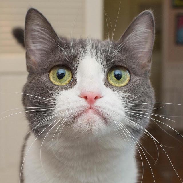 Вы купили, что я заказывал