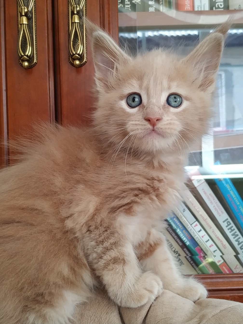 Что то я не смог найти книгу со сказками