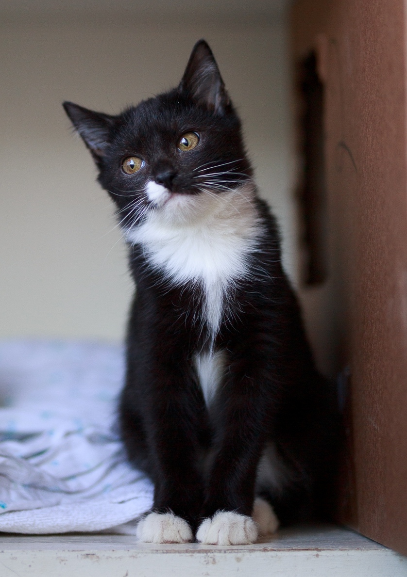 Сегодня был такой чудесный день, жаль что закончился