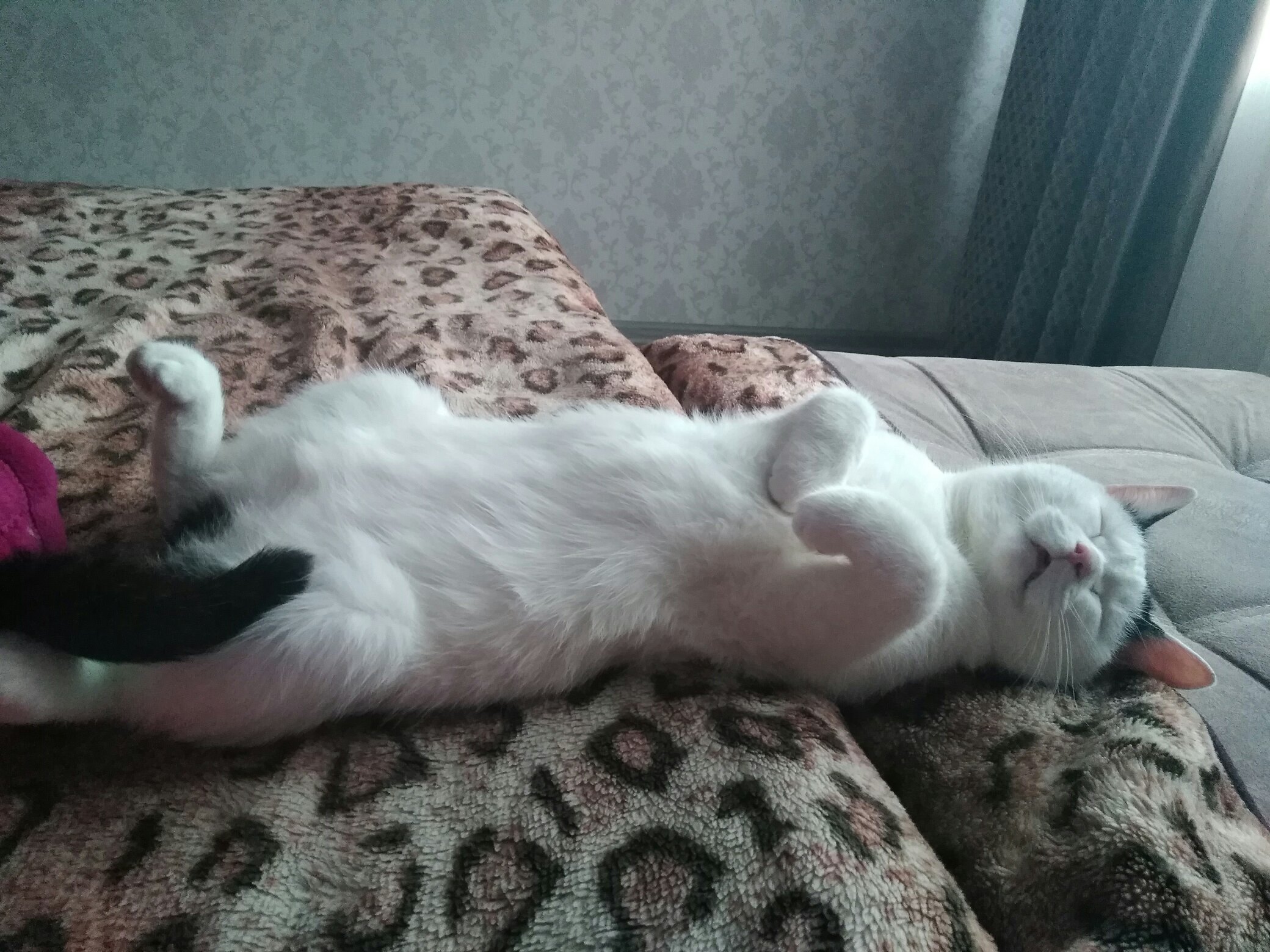 Я Вас сегодня провожать не буду,  дверь сами захлопните