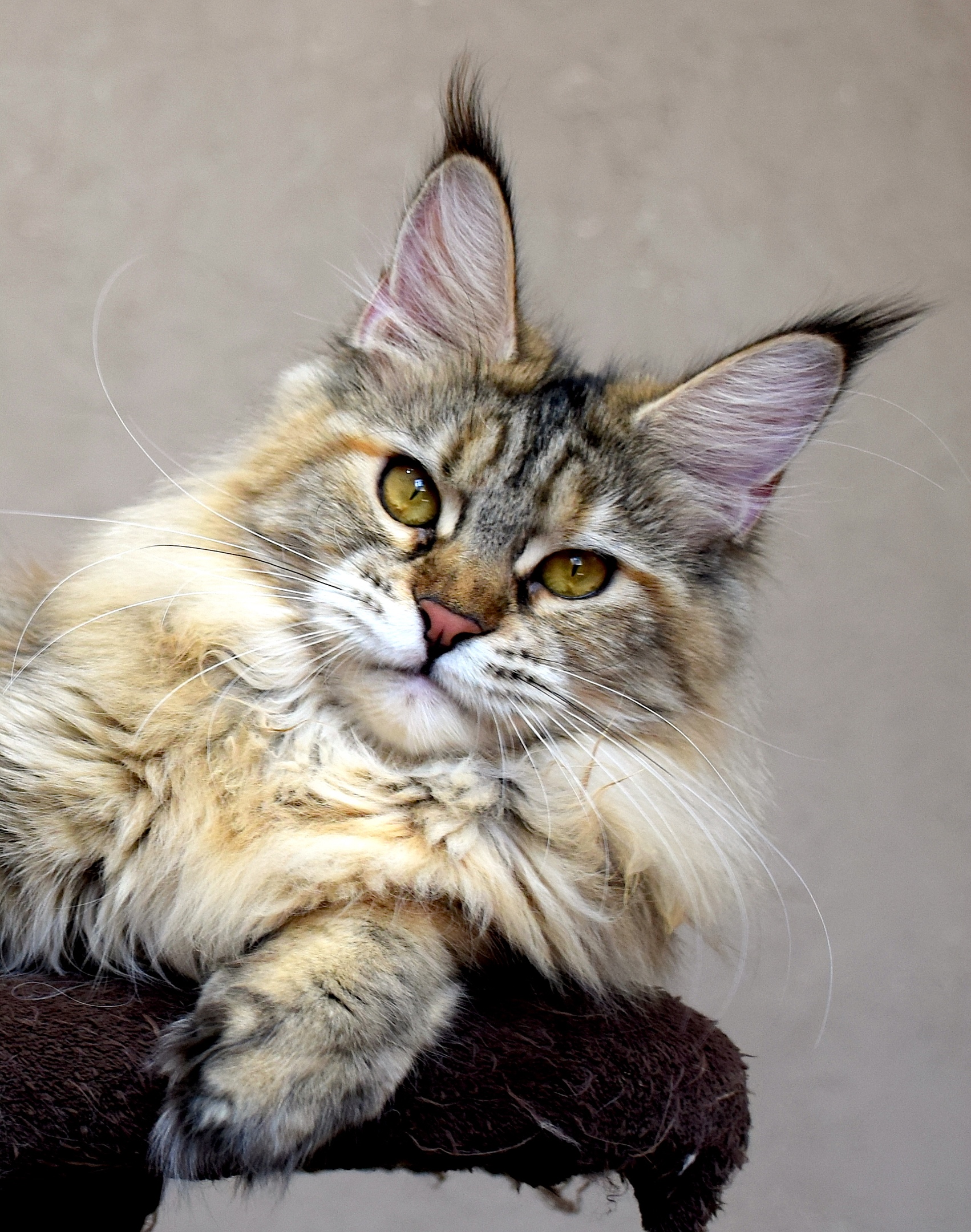 Скукота одолела, может в парке прогуляемся