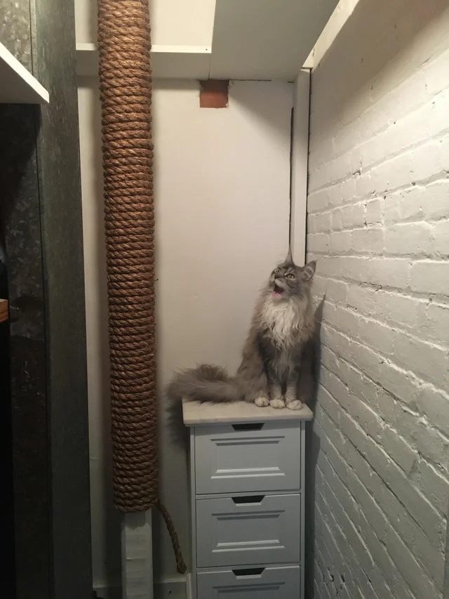 Дорогой, спускайся, пора обедать