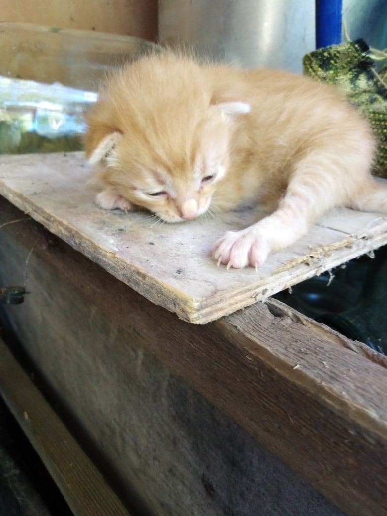 Как же я сюда попал