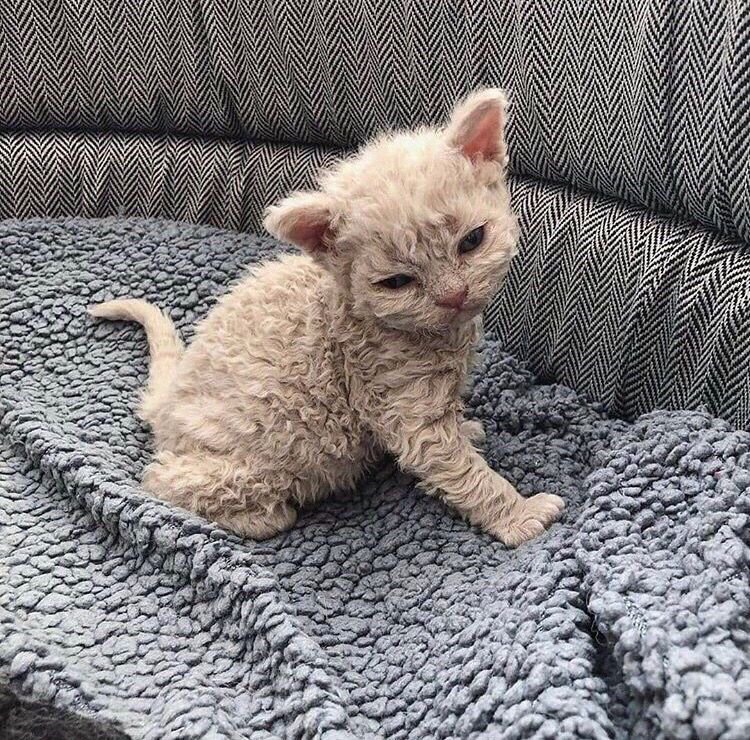 Можно я ещё немножко посплю