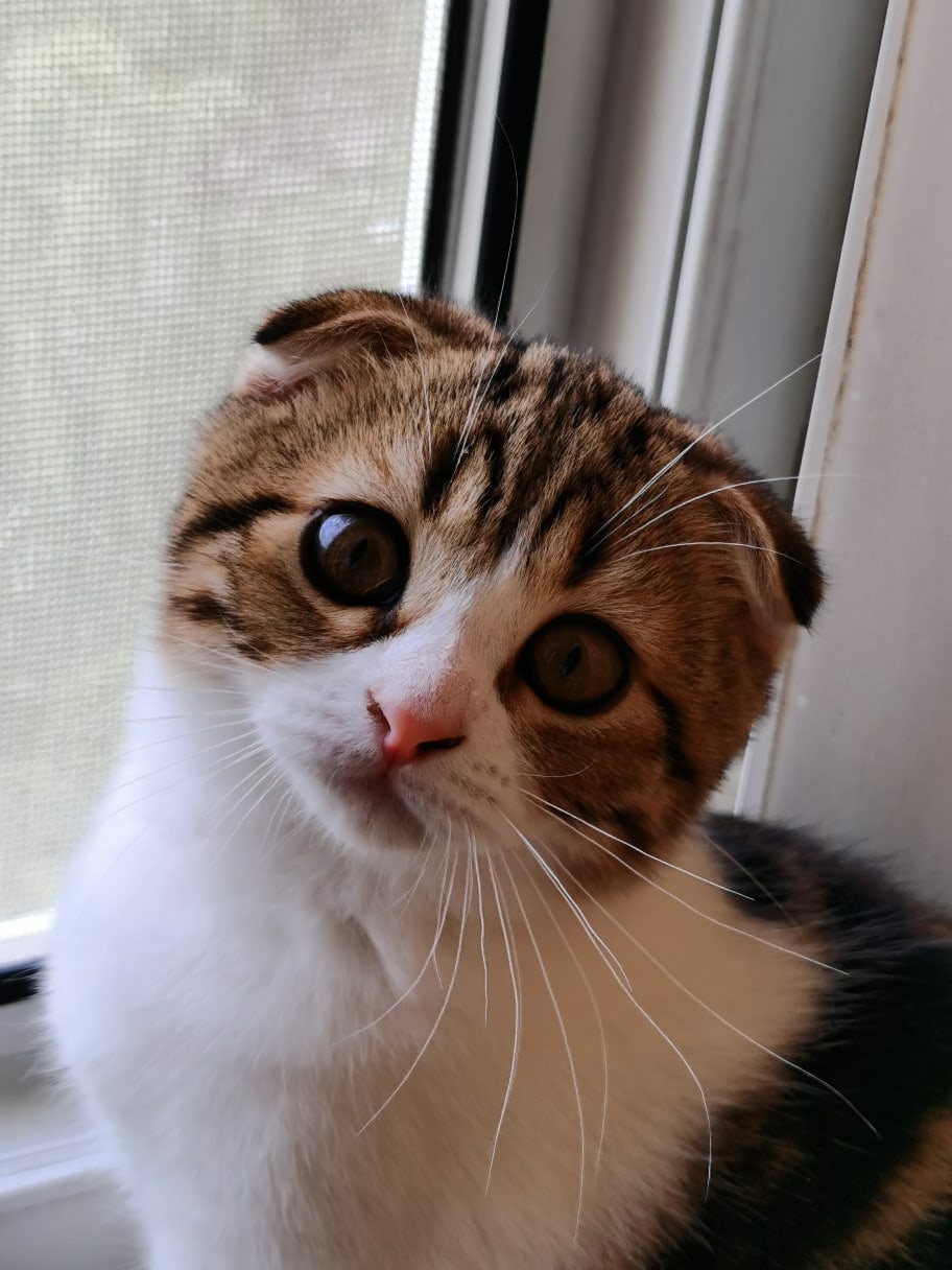 На улице так пасмурно, что хочется спать