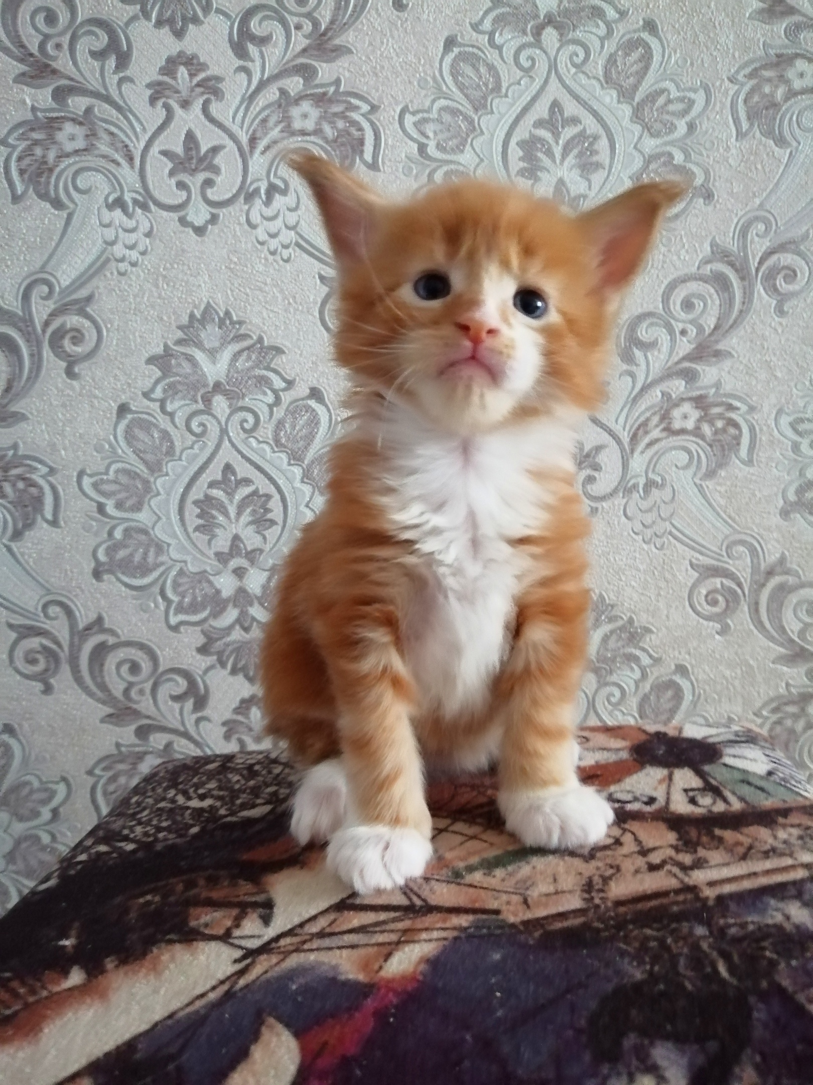 Я хочу играть, кто со мной