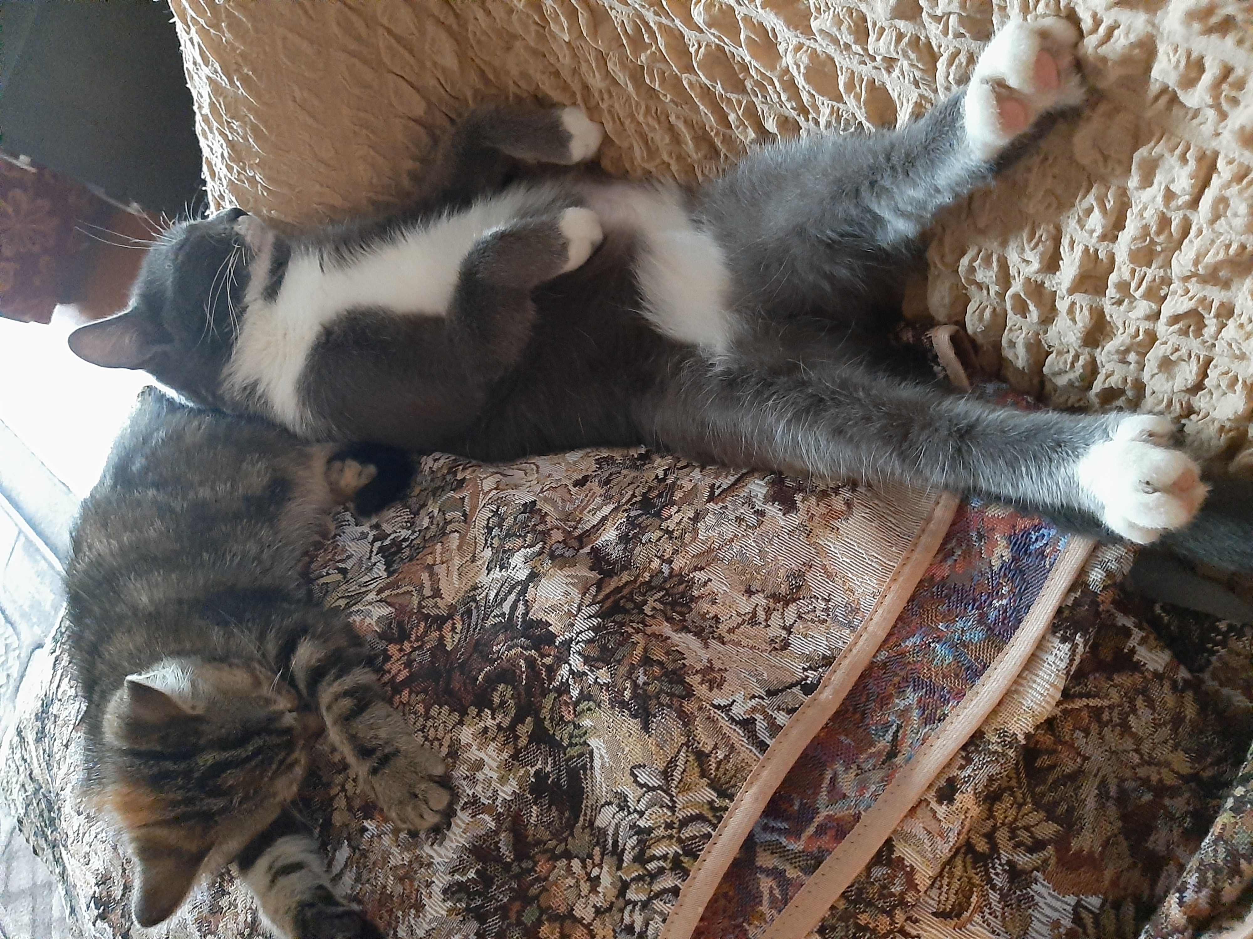 И жизнь хороша, и жить хорошо!