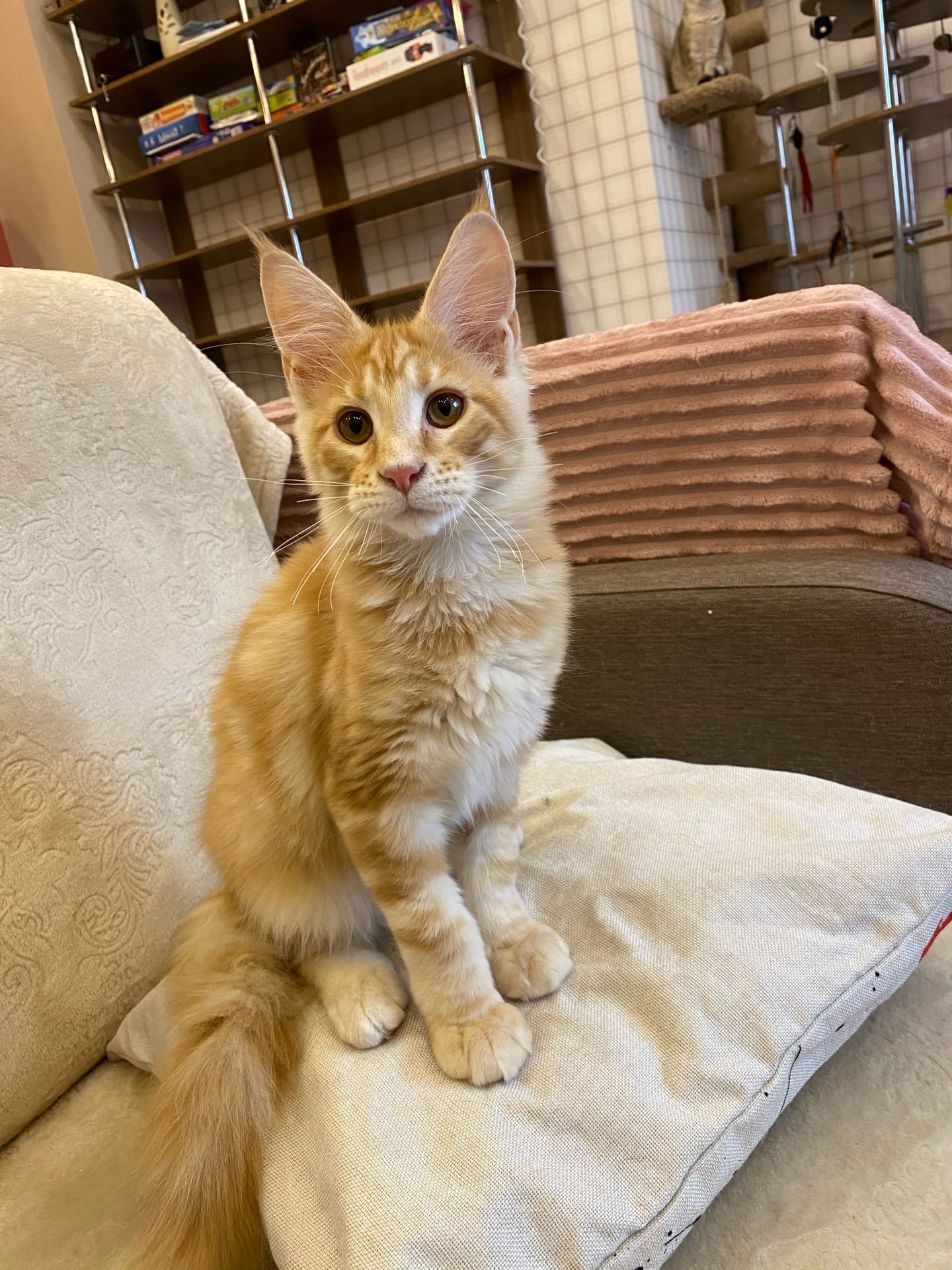 С постели встал, место потерял, а я занял