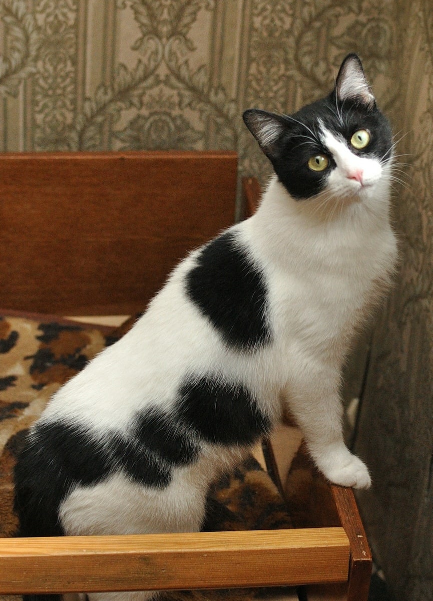 Быстро ночь пролетела, вставать не хочется