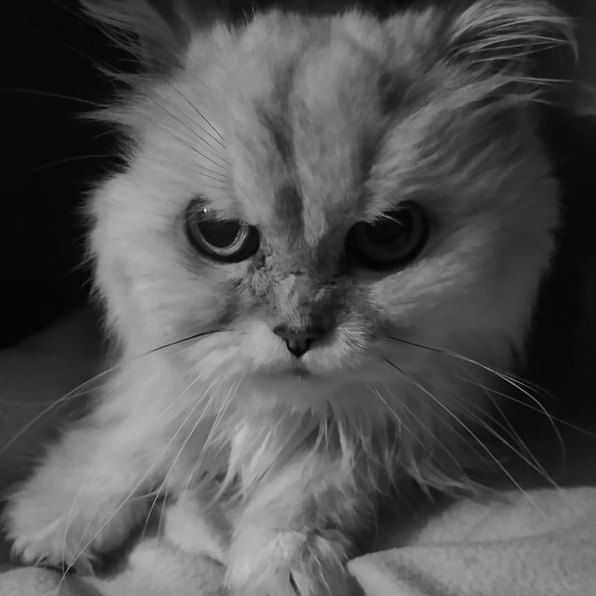 Настроение с утра не задалось