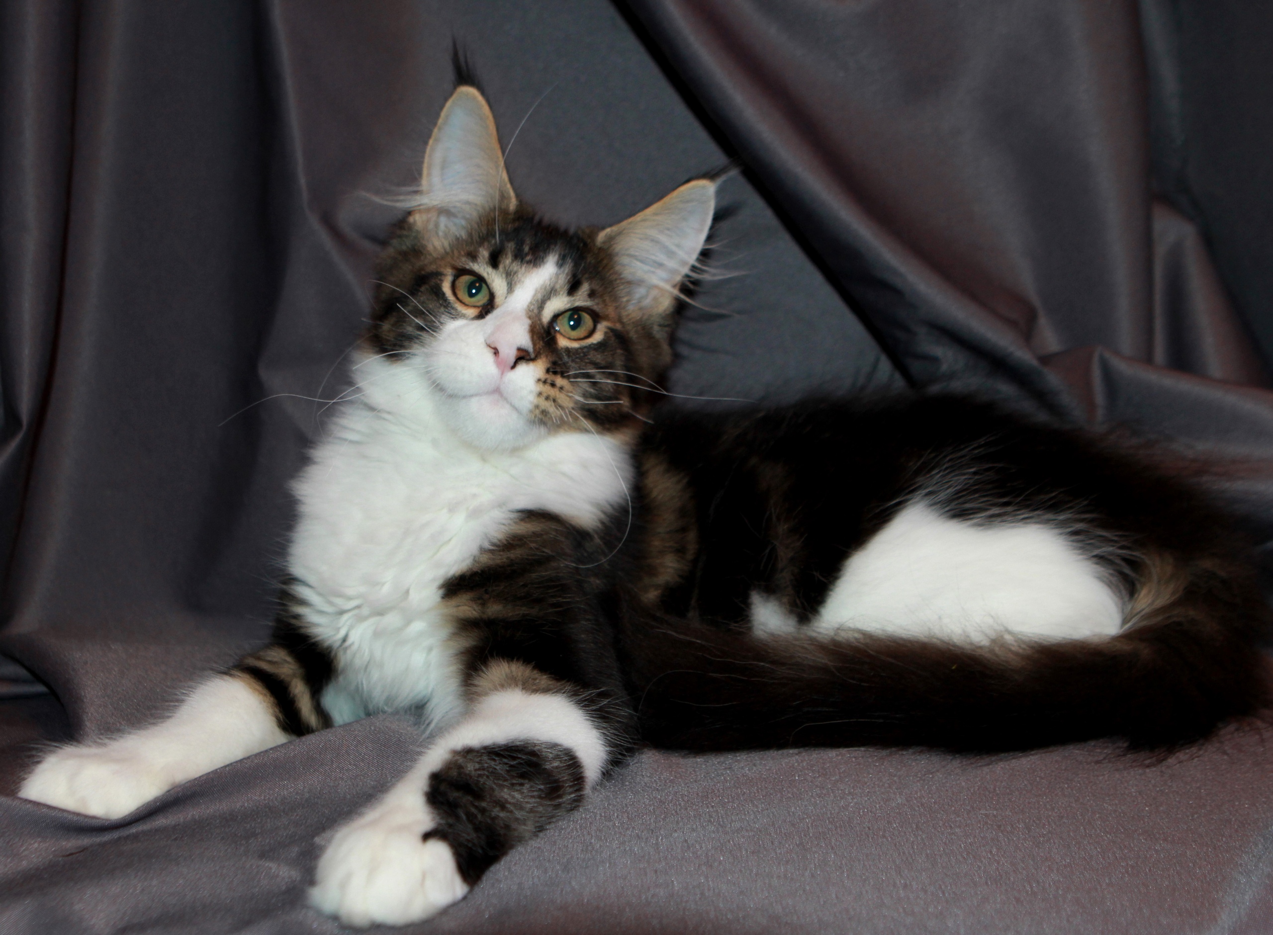 Я знаю, что красавчик