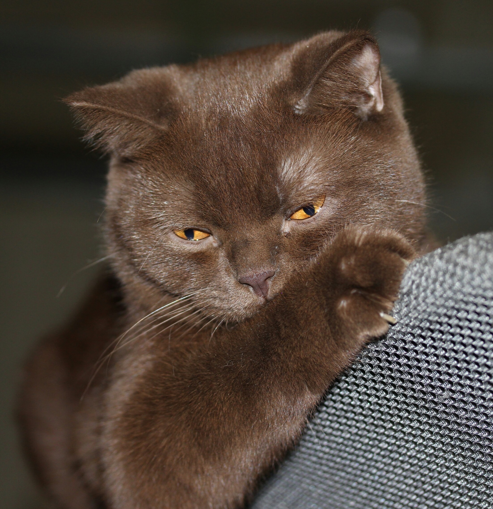 Как же хочется ласки и внимания