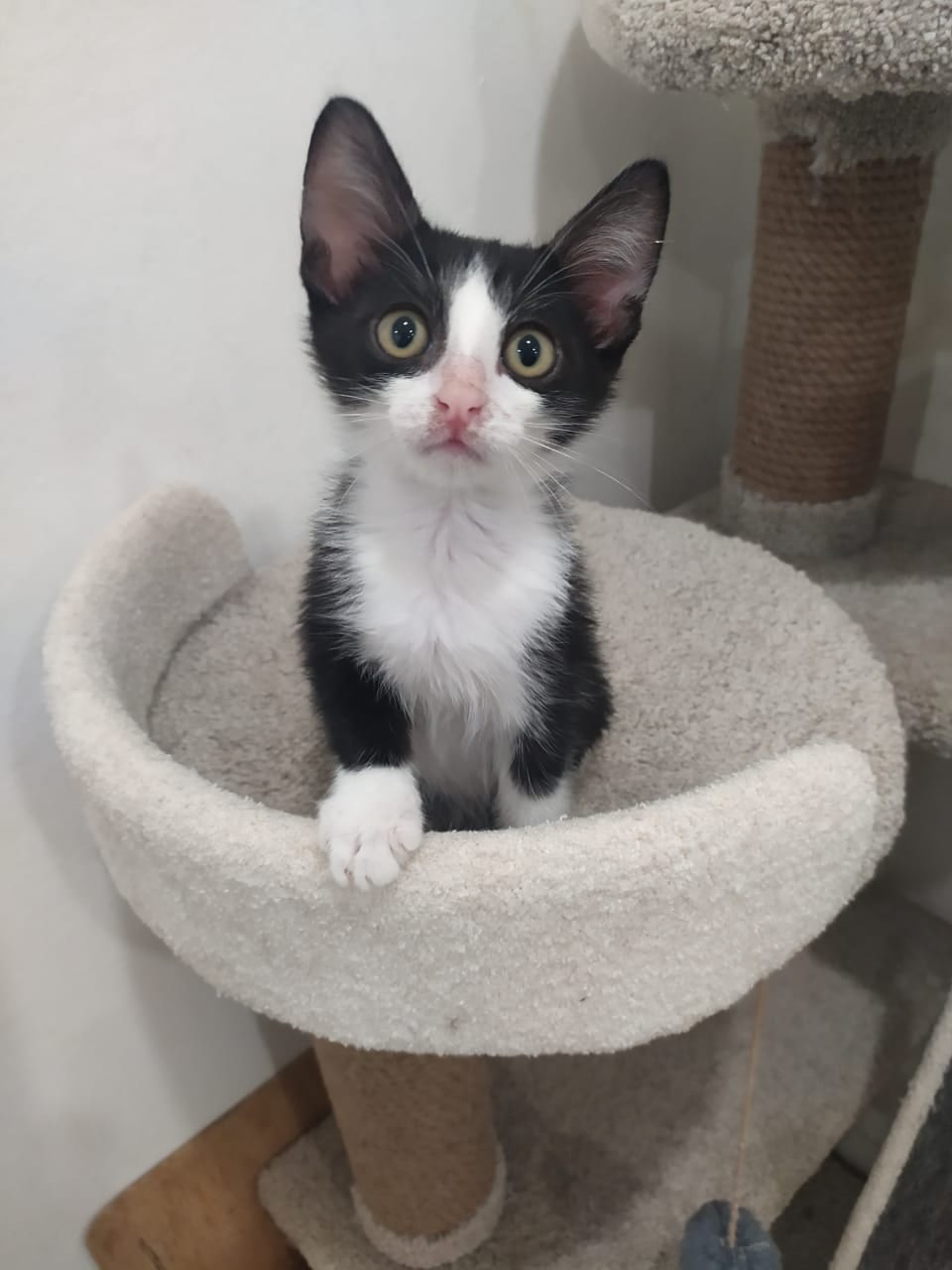 У Вас не найдётся для меня хотя бы полчасика