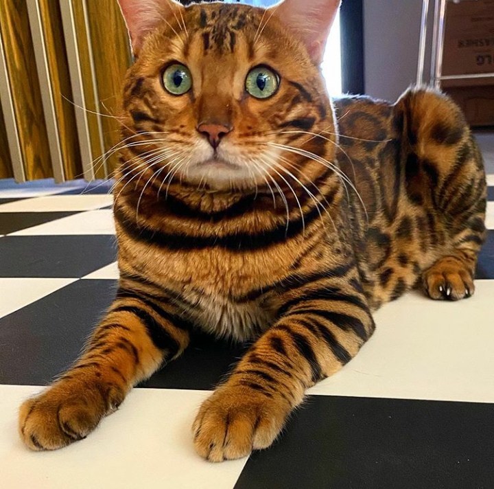 Когда Вы отпуск возьмёте, я устал спозаранку просыпаться